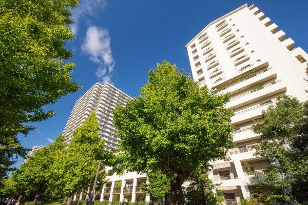 The Rental Market